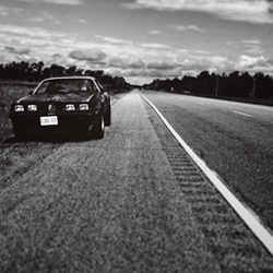 Maeve Rowan Photography - Trans Am Roadside.png